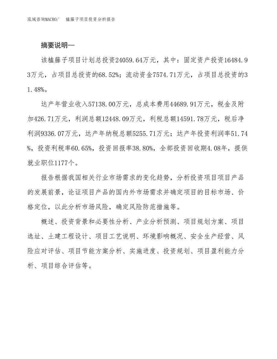 榼藤子项目投资分析报告(总投资24000万元)_第2页