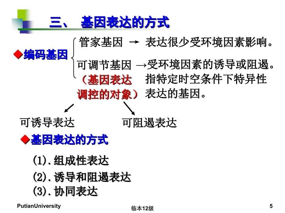 生物化学第18章基因表达调控_第5页