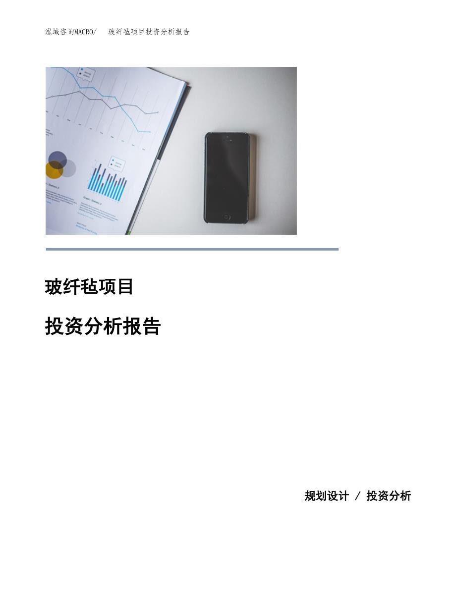 玻纤毡项目投资分析报告(总投资5000万元)_第1页