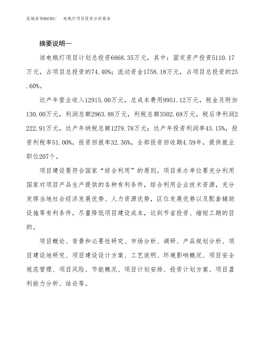 电瓶灯项目投资分析报告(总投资7000万元)_第2页