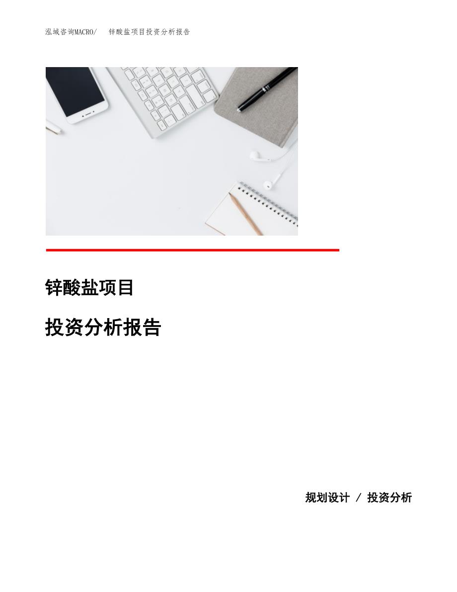 锌酸盐项目投资分析报告(总投资11000万元)_第1页