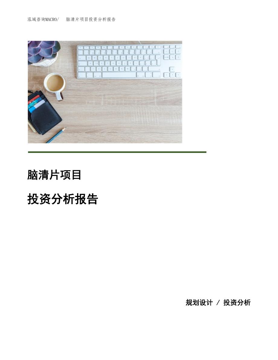 脑清片项目投资分析报告(总投资15000万元)_第1页