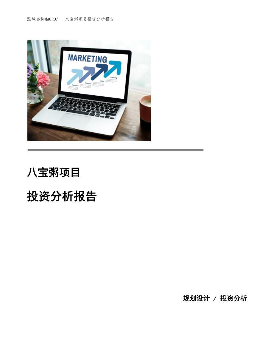 八宝粥项目投资分析报告(总投资4000万元)_第1页