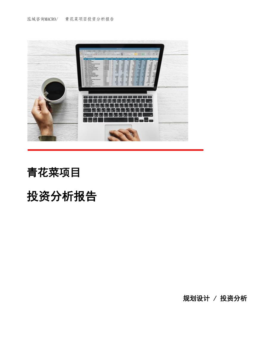 青花菜项目投资分析报告(总投资18000万元)_第1页
