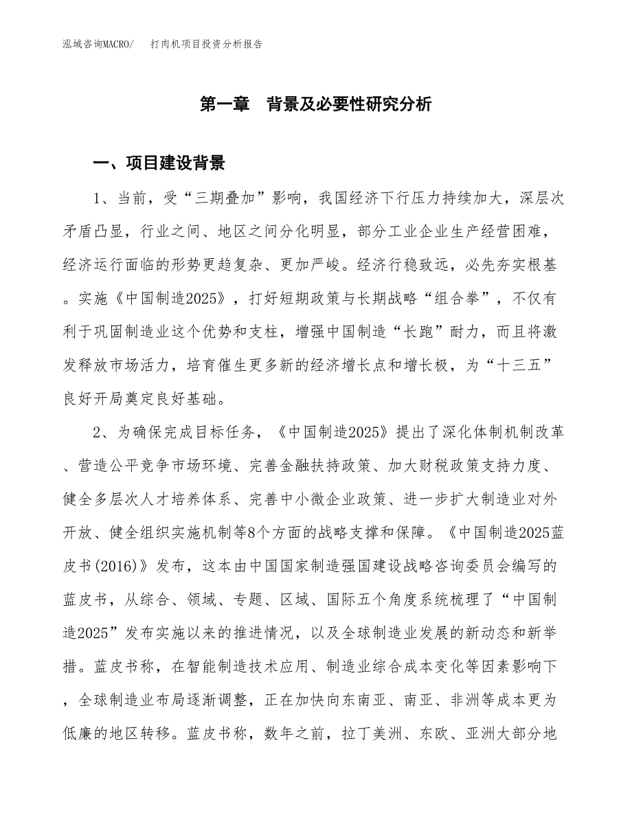 打肉机项目投资分析报告(总投资5000万元)_第3页