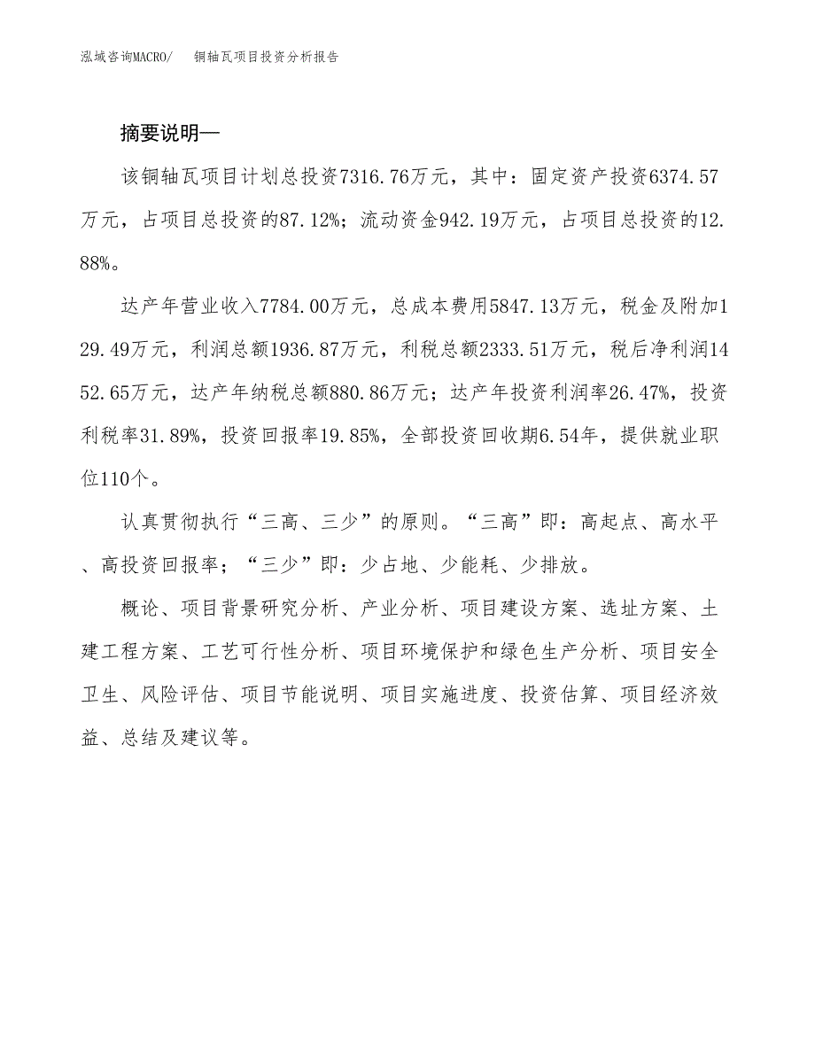 铜轴瓦项目投资分析报告(总投资7000万元)_第2页