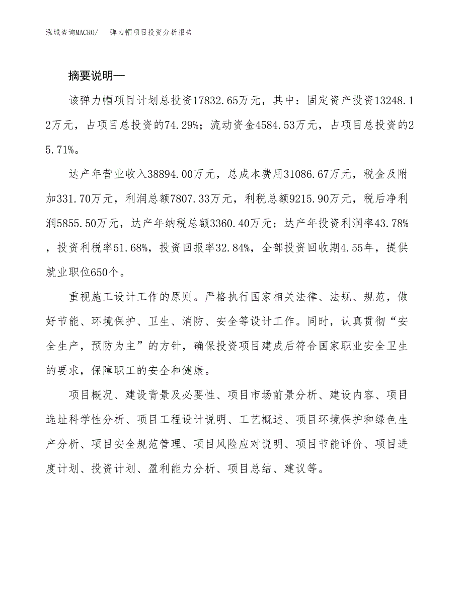 弹力帽项目投资分析报告(总投资18000万元)_第2页