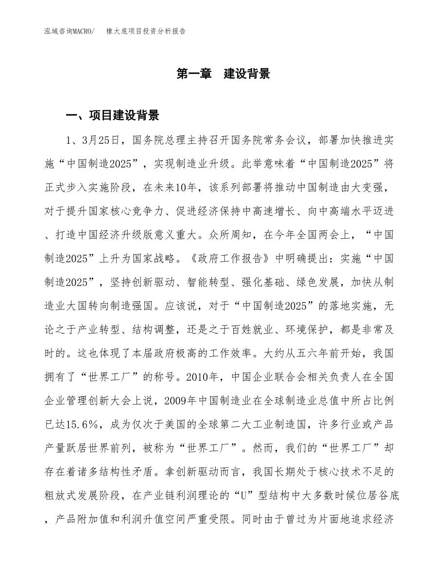 橡大底项目投资分析报告(总投资6000万元)_第3页