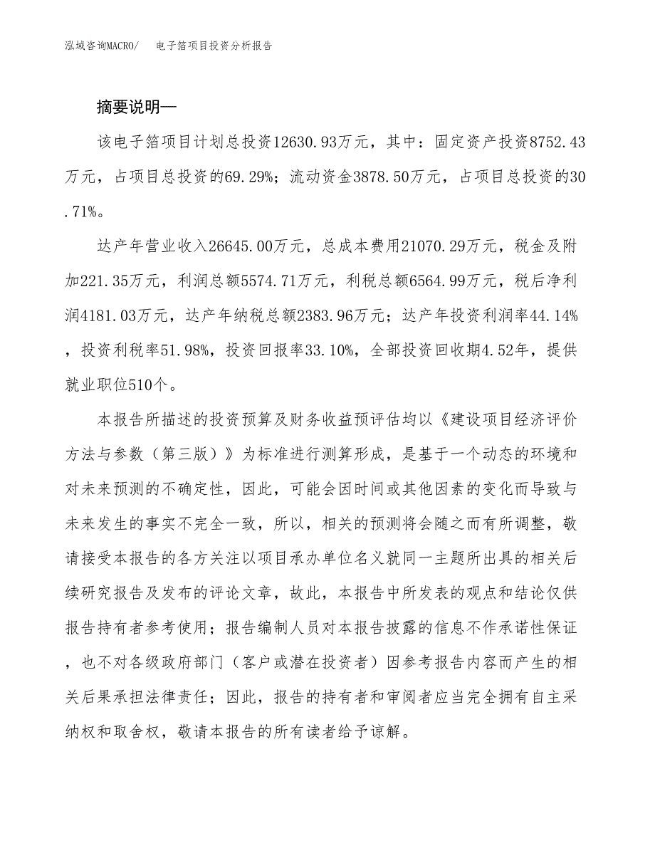 电子箔项目投资分析报告(总投资13000万元)_第2页