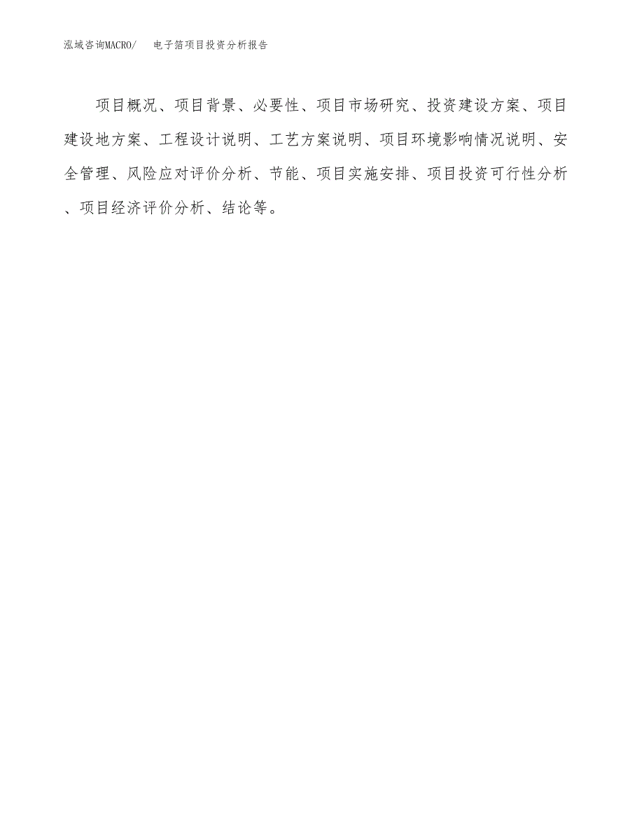 电子箔项目投资分析报告(总投资13000万元)_第3页