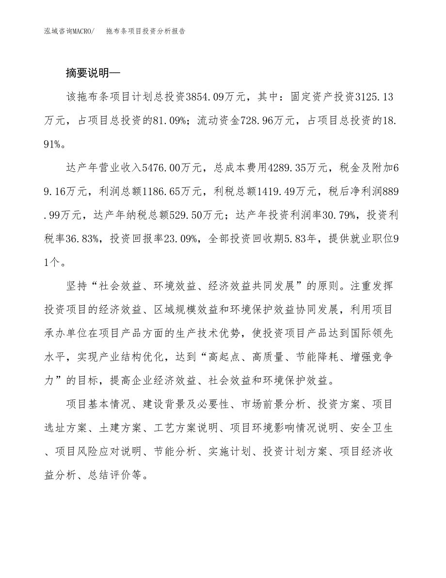 拖布条项目投资分析报告(总投资4000万元)_第2页