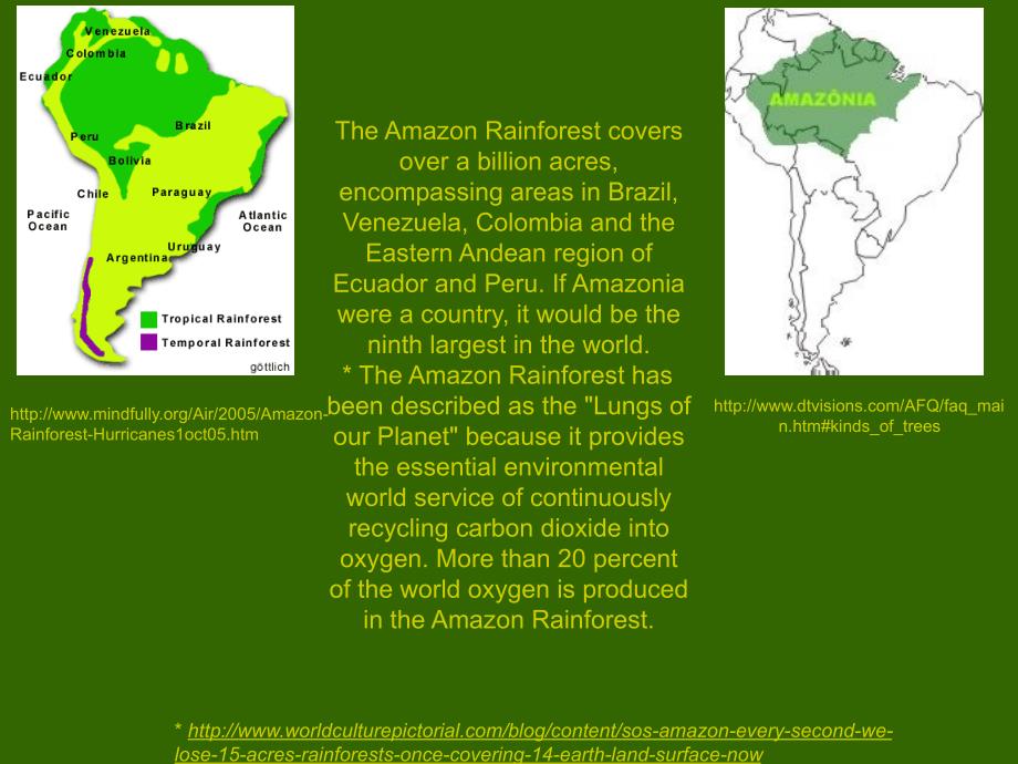 相关素材amazonrainforest亚马逊丛林_第2页