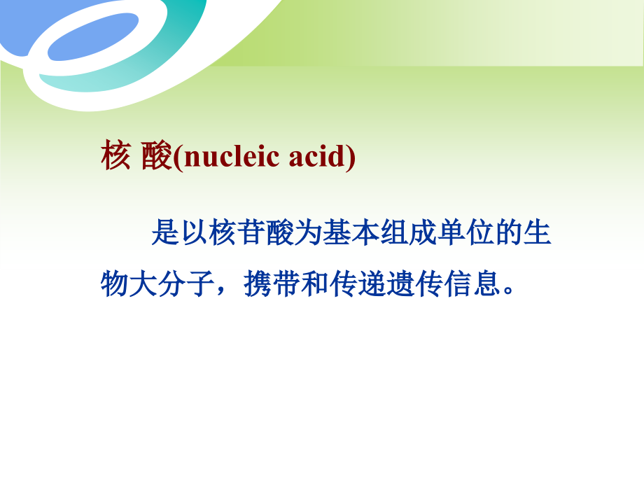 生物化学教学课件作者第二版韩昌洪第二章核酸的结构与功能_第4页