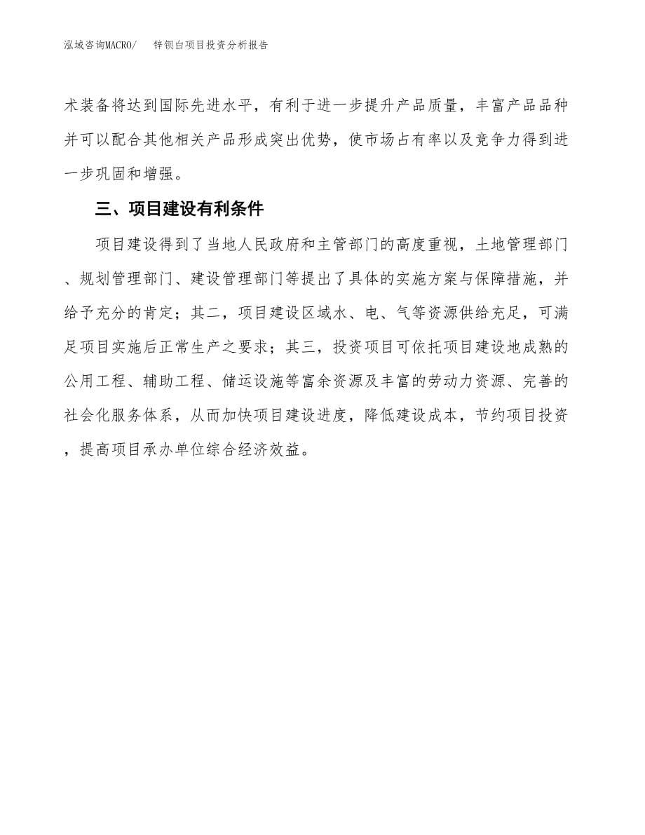 锌钡白项目投资分析报告(总投资4000万元)_第5页