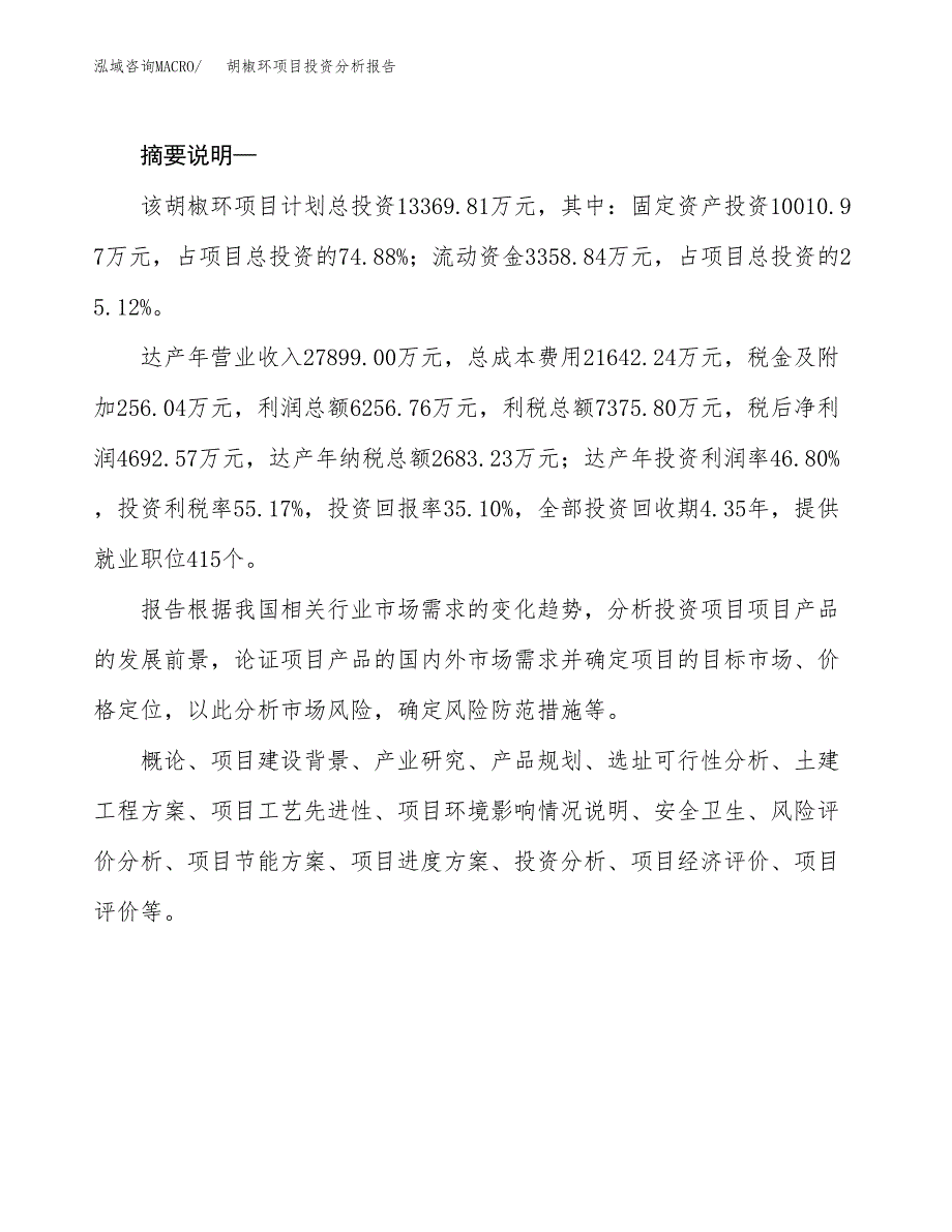 胡椒环项目投资分析报告(总投资13000万元)_第2页