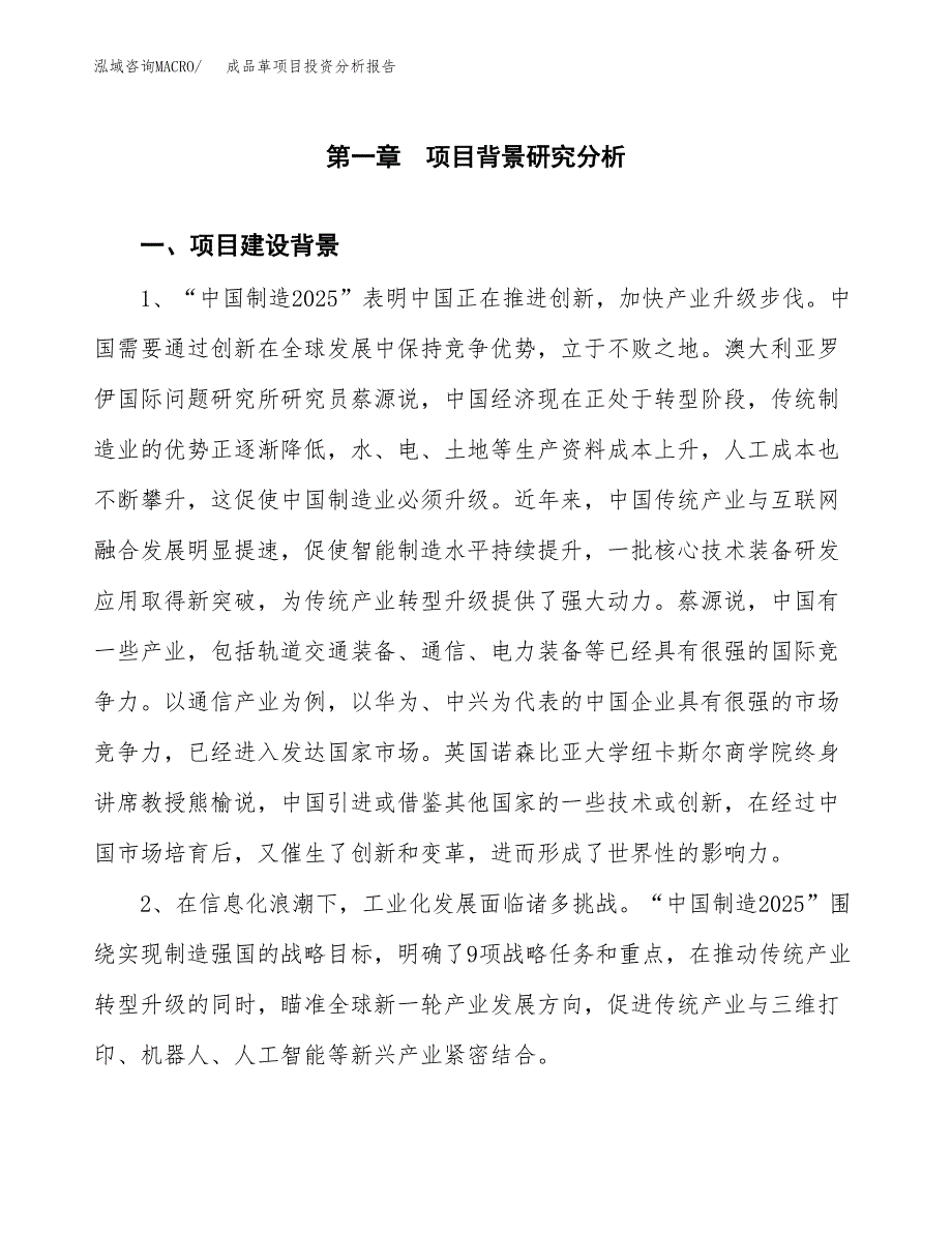 成品革项目投资分析报告(总投资9000万元)_第4页