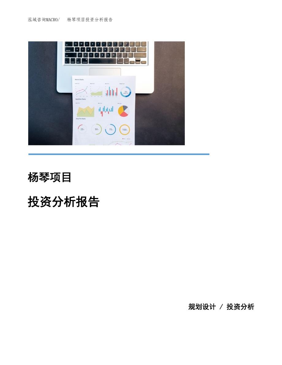 杨琴项目投资分析报告(总投资2000万元)_第1页