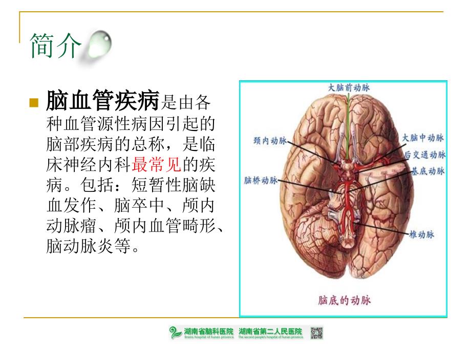 脑血管介入治疗中风险防 控与 措施_第3页