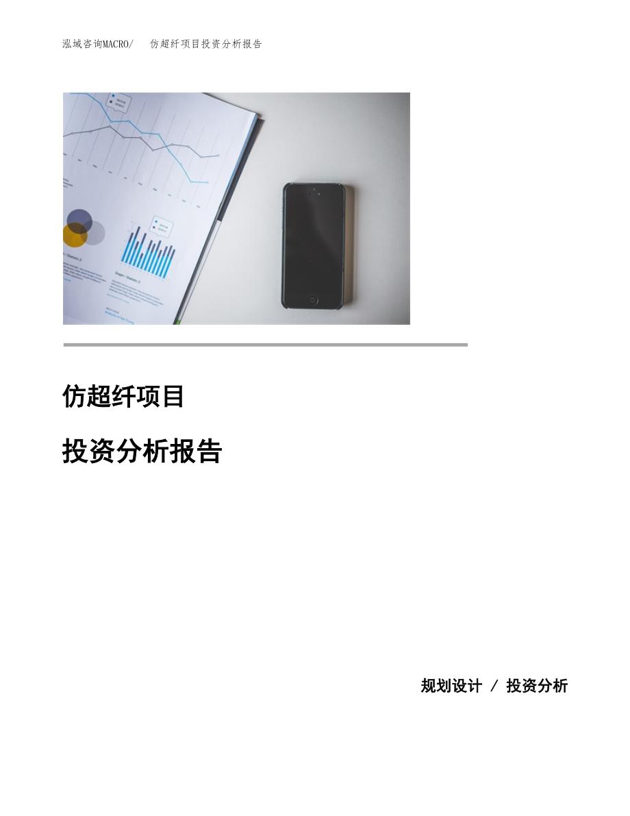 仿超纤项目投资分析报告(总投资6000万元)_第1页