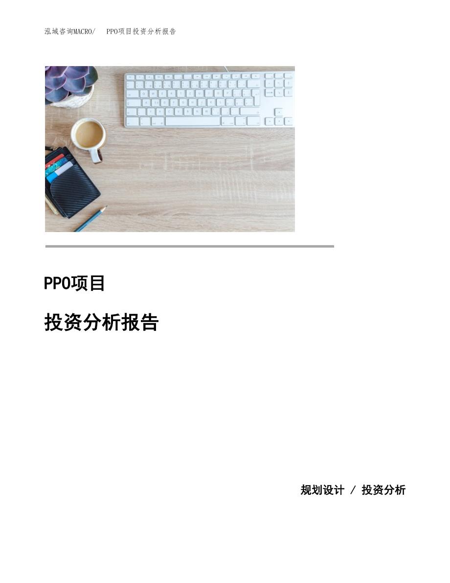 PPO项目投资分析报告(总投资18000万元)_第1页