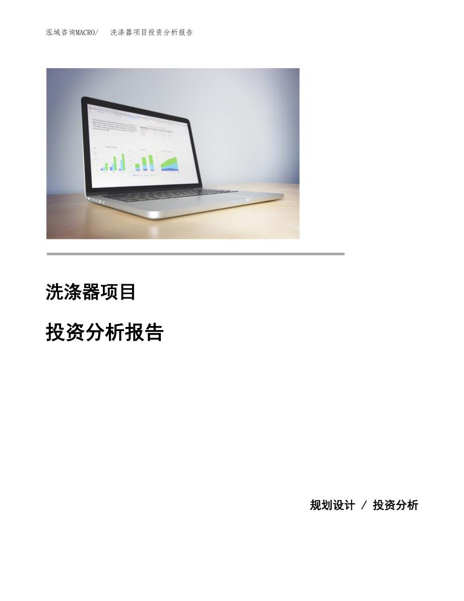 洗涤器项目投资分析报告(总投资13000万元)_第1页