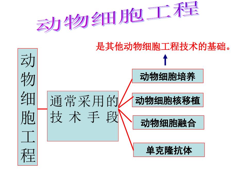 级复习动物细胞培养和核移植技术课件_第1页