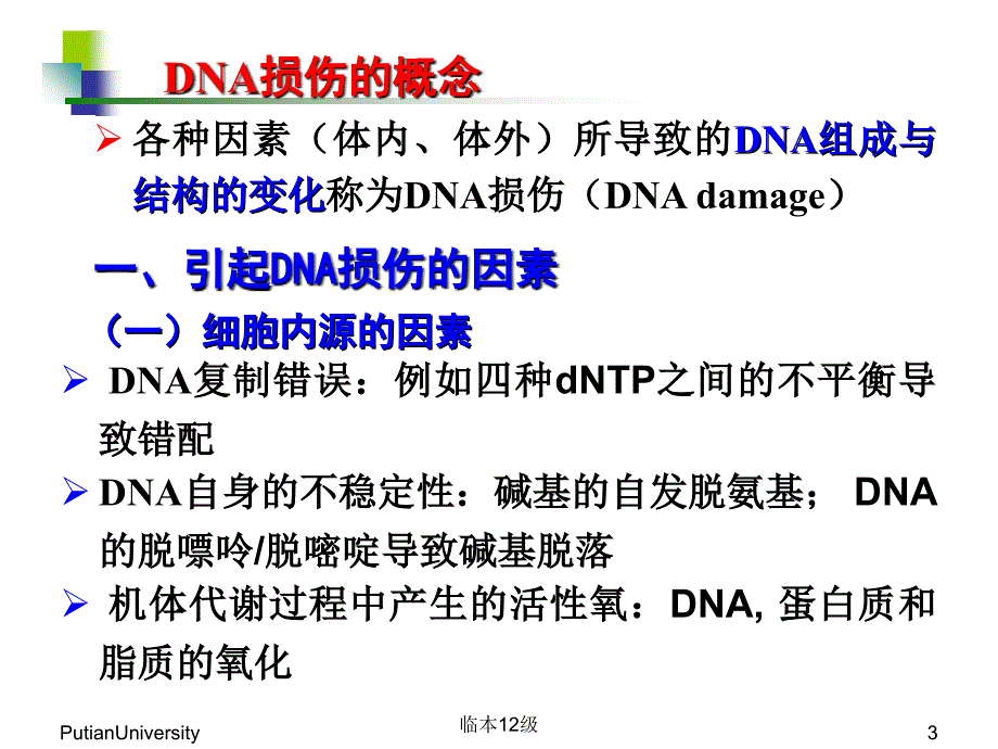 生物化学第15章DNA损伤与修复_第3页