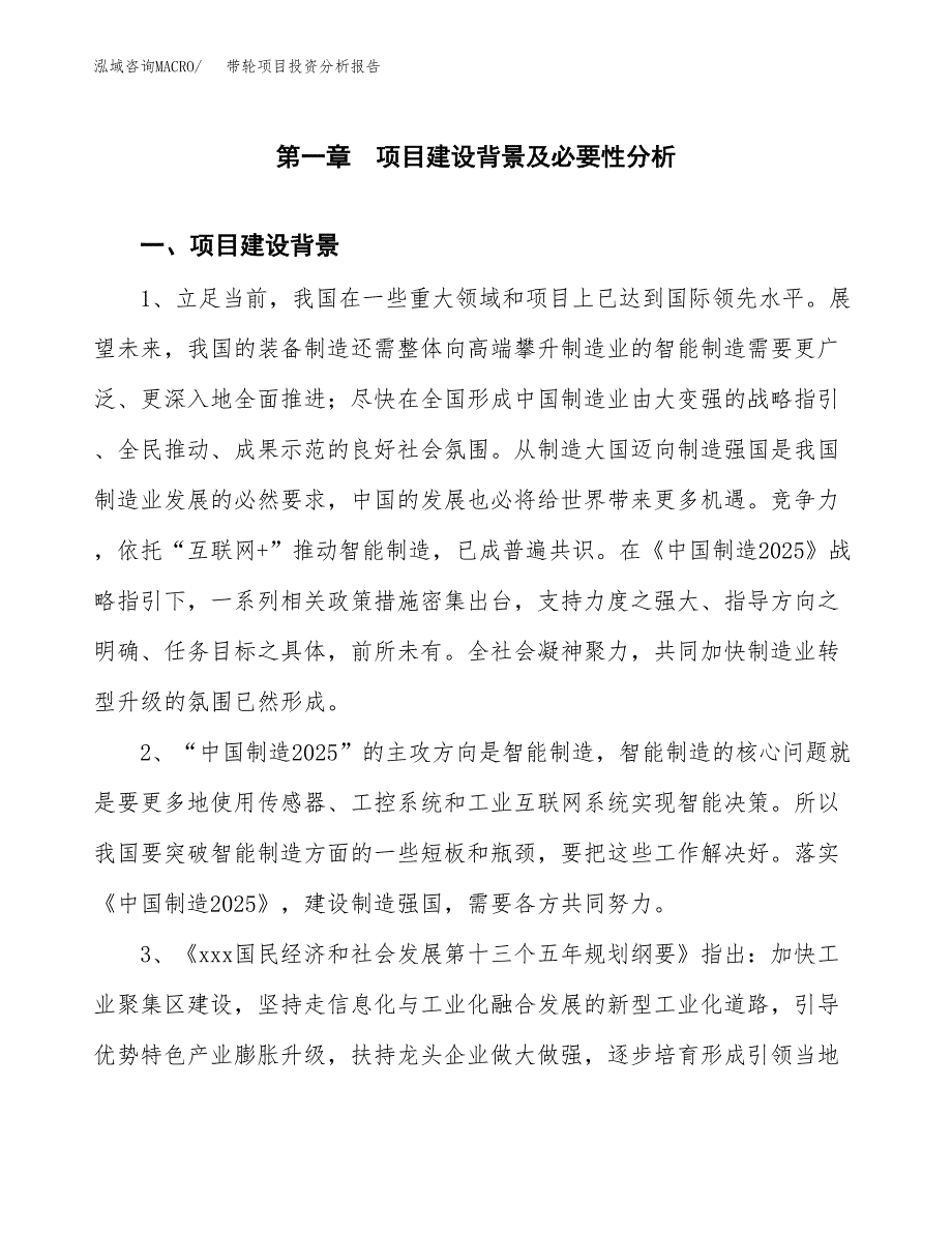 带轮项目投资分析报告(总投资21000万元)_第3页