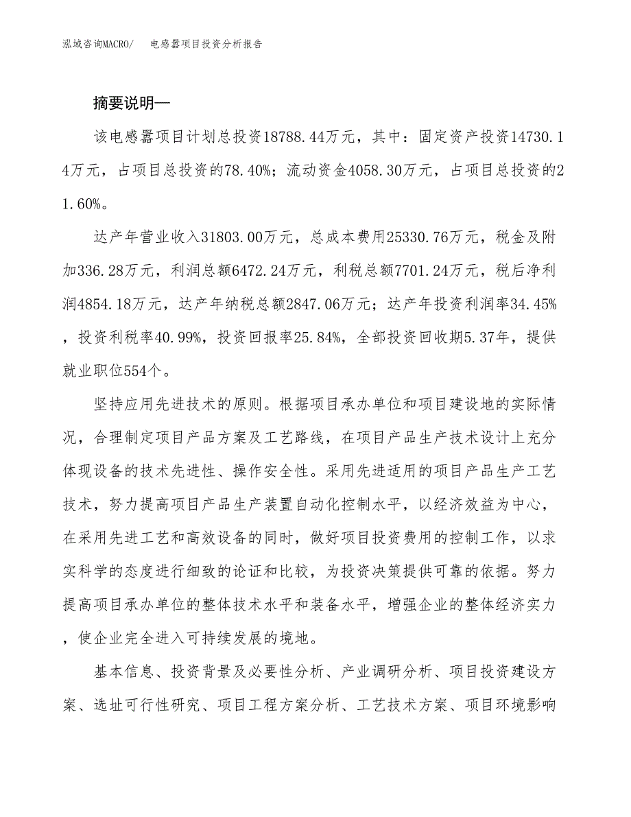 电感嚣项目投资分析报告(总投资19000万元)_第2页