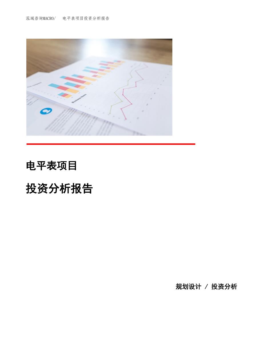 电平表项目投资分析报告(总投资5000万元)_第1页