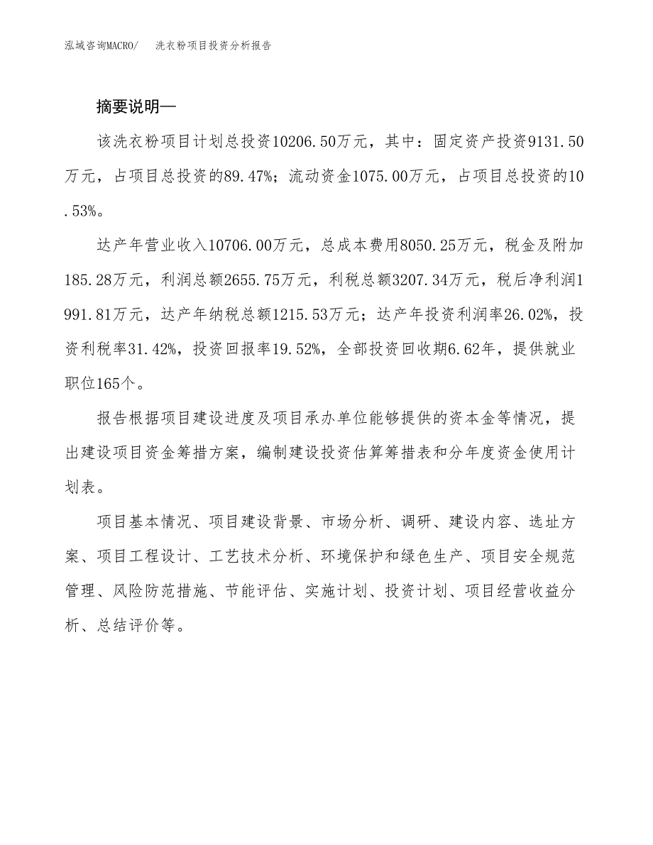 洗衣粉项目投资分析报告(总投资10000万元)_第2页