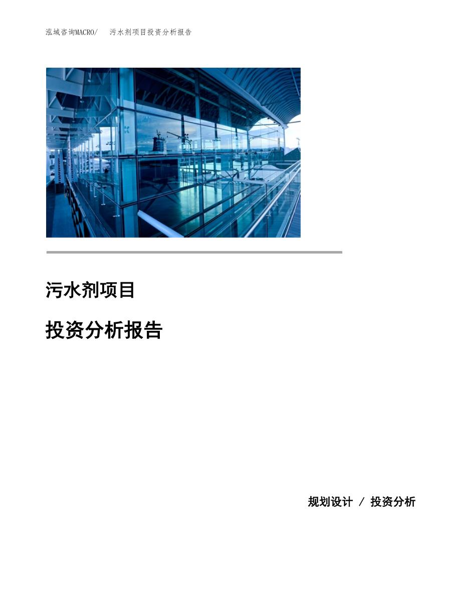 污水剂项目投资分析报告(总投资9000万元)_第1页