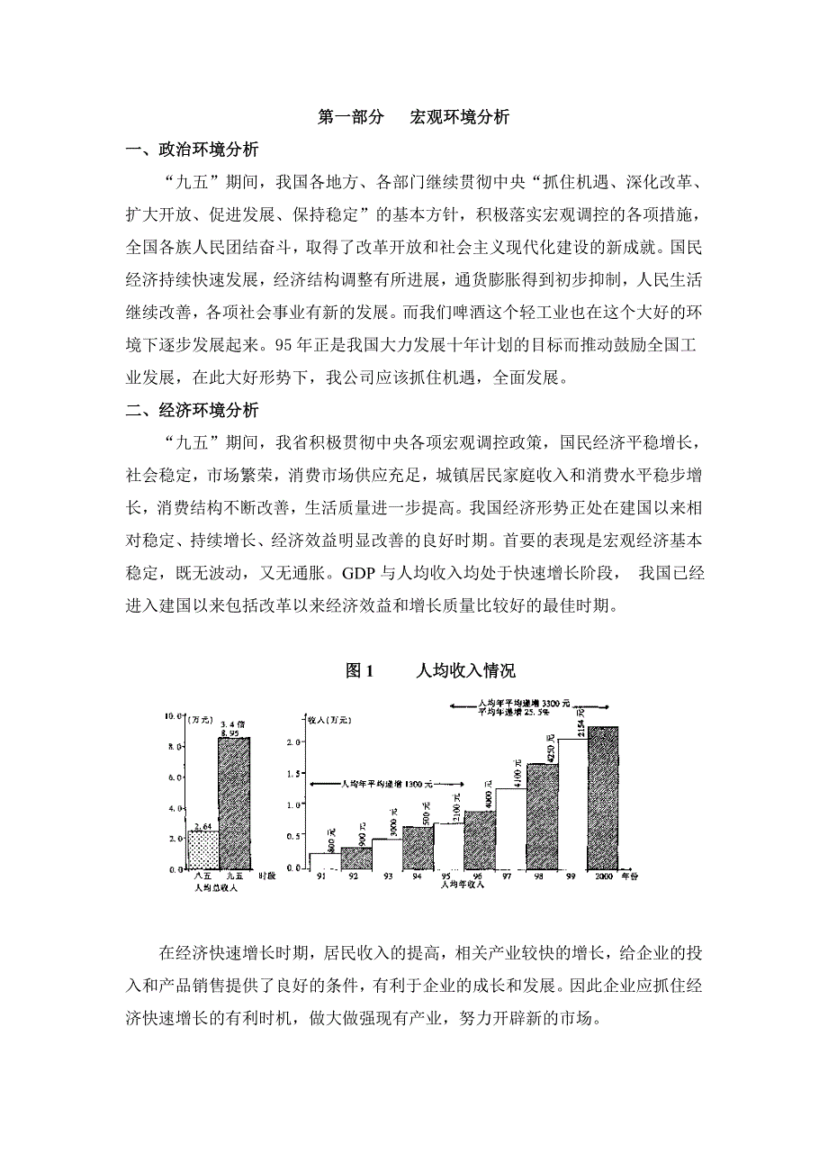 龙源啤酒营销战略_第2页