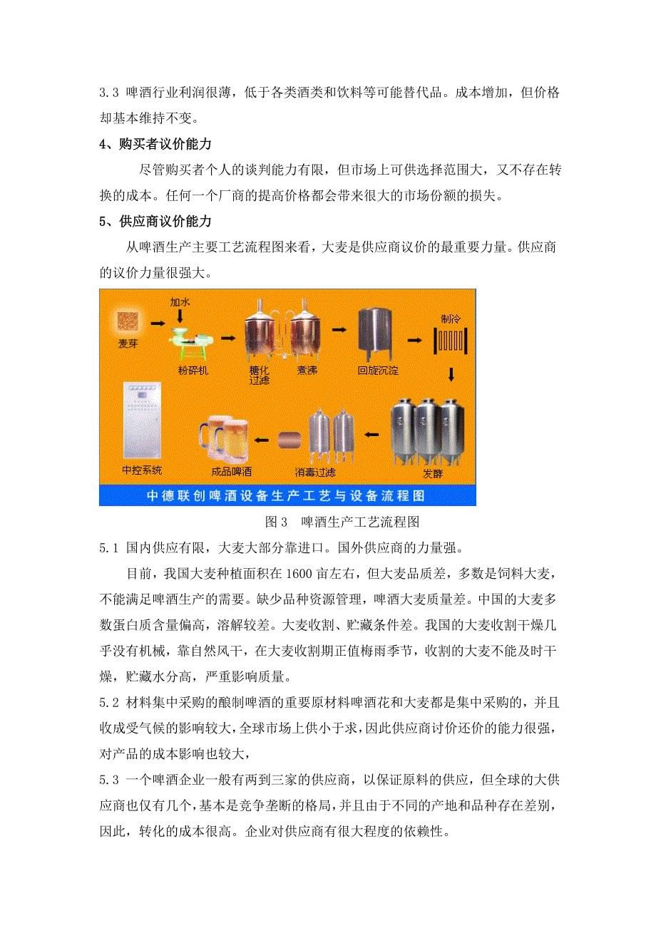 龙源啤酒营销战略_第5页