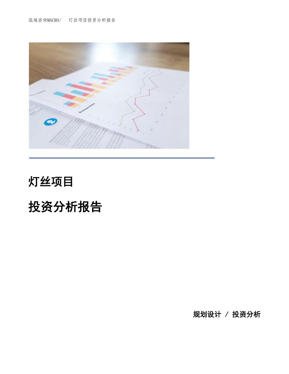 灯丝项目投资分析报告(总投资13000万元)_第1页