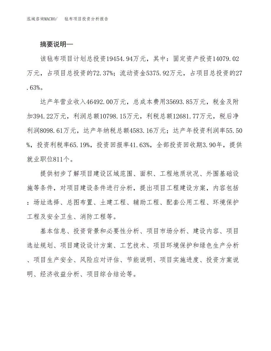 毡布项目投资分析报告(总投资19000万元)_第2页