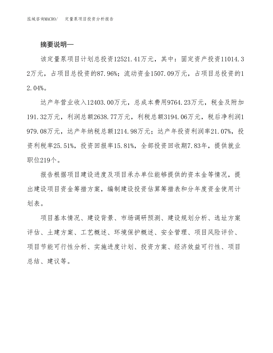 定量泵项目投资分析报告(总投资13000万元)_第2页