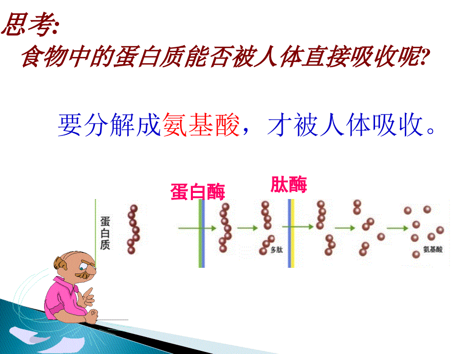 生物蛋白质刘彦伶_第4页