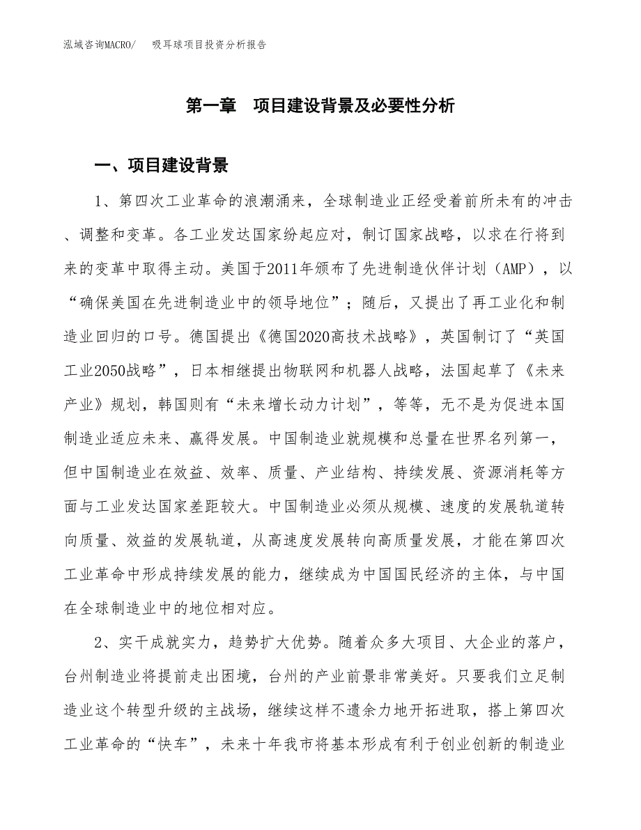 吸耳球项目投资分析报告(总投资13000万元)_第3页