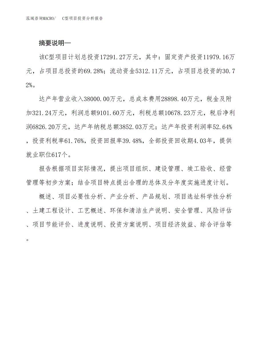 C型项目投资分析报告(总投资17000万元)_第2页