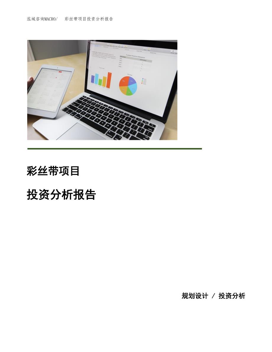 彩丝带项目投资分析报告(总投资16000万元)_第1页