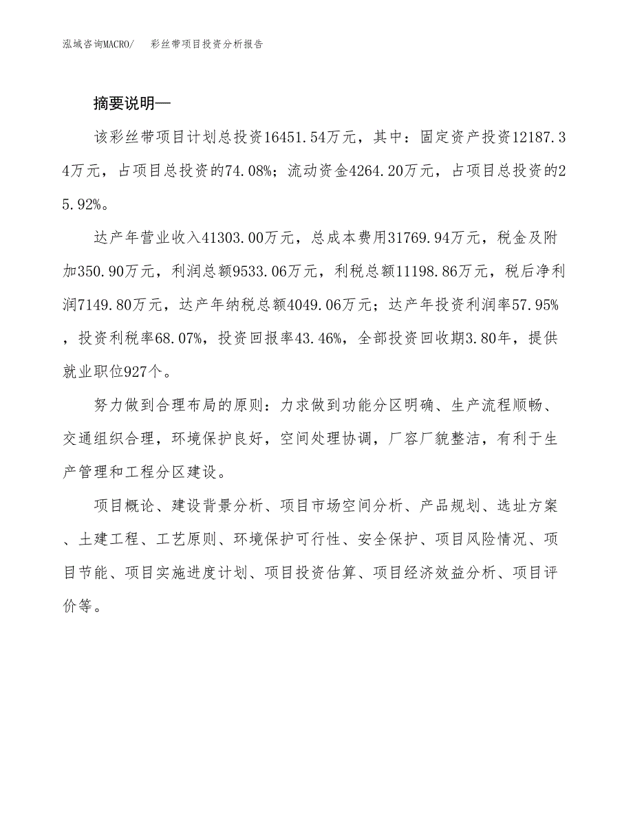 彩丝带项目投资分析报告(总投资16000万元)_第2页