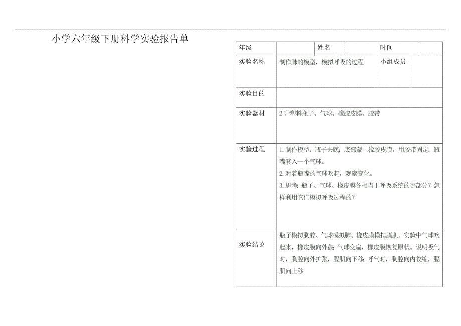 小学科学六年级下册实验报告单_第5页