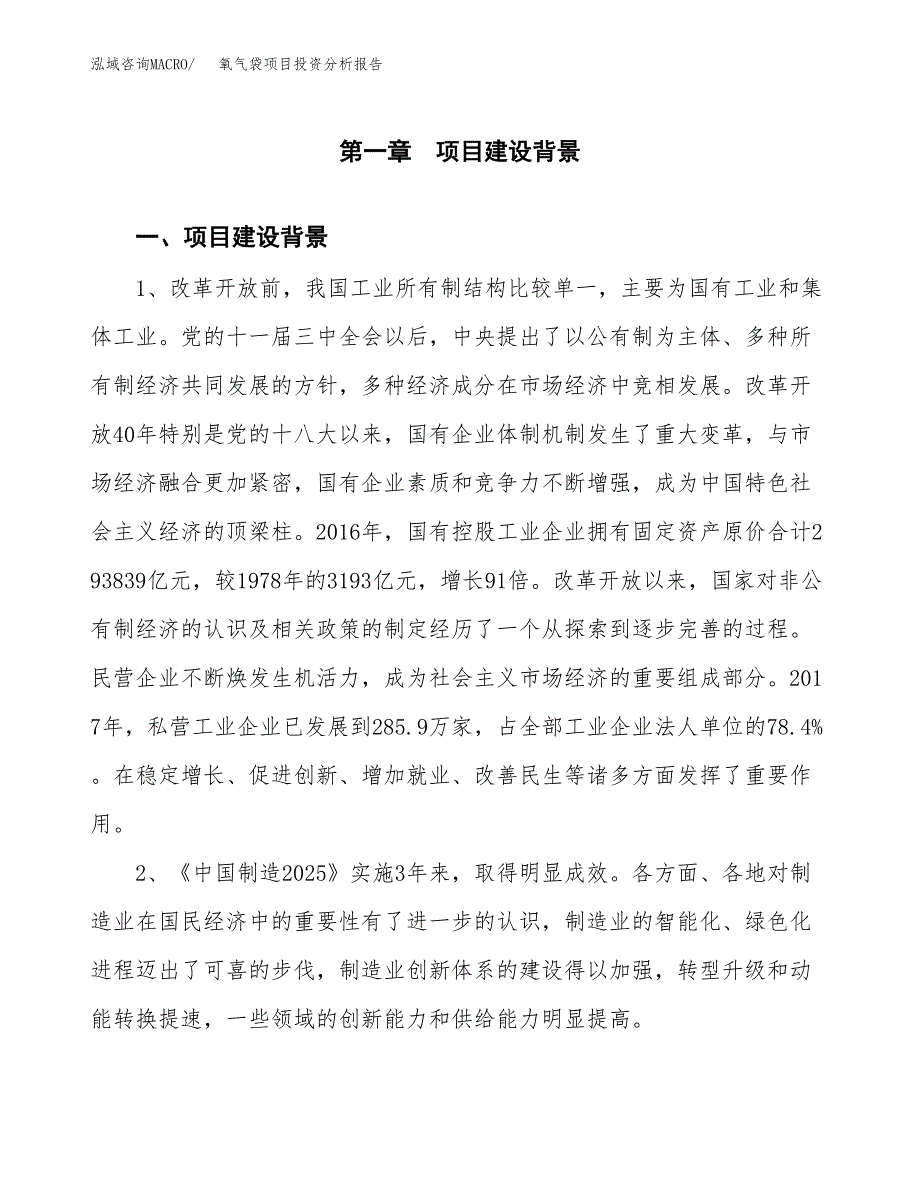 氧气袋项目投资分析报告(总投资15000万元)_第4页