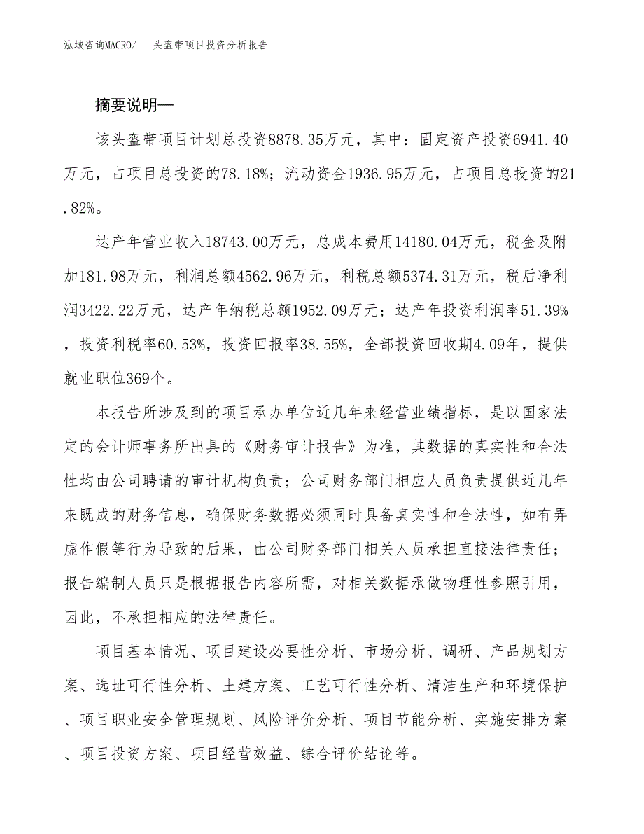 头盔带项目投资分析报告(总投资9000万元)_第2页