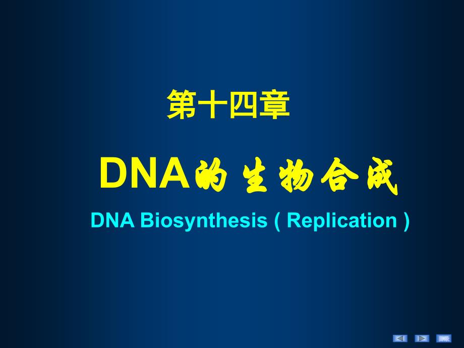 生化课件DNA的生物合成_第2页