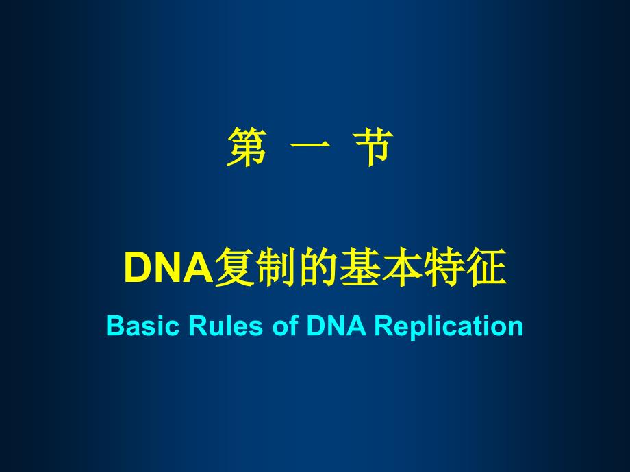 生化课件DNA的生物合成_第4页