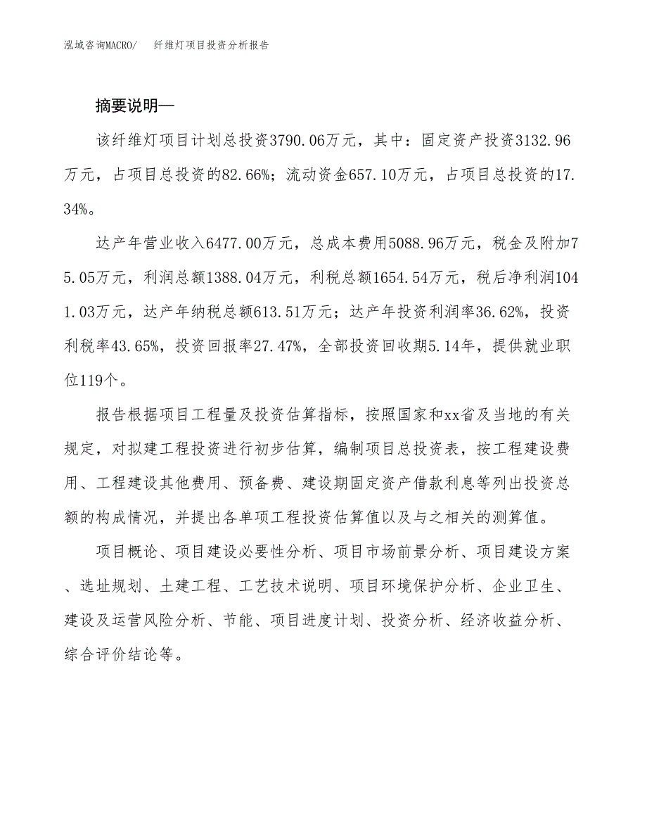 纤维灯项目投资分析报告(总投资10000万元)_第2页