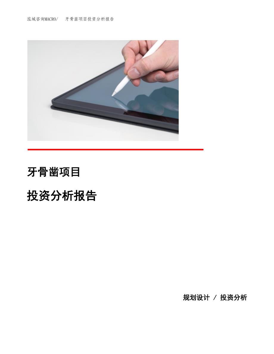 牙骨凿项目投资分析报告(总投资16000万元)_第1页