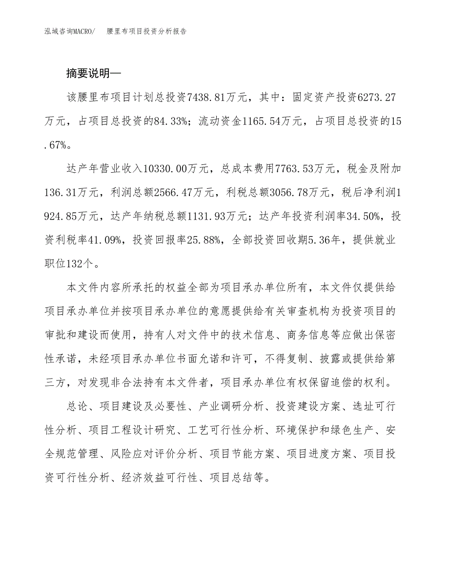 腰里布项目投资分析报告(总投资7000万元)_第2页